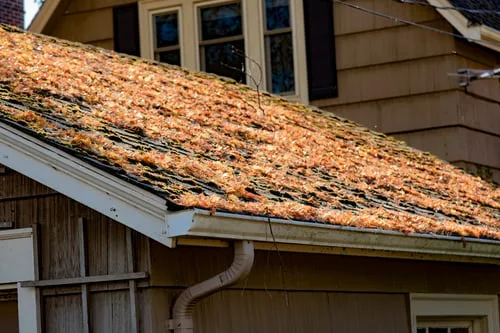 Why Your House Siding Turns Green and Gray