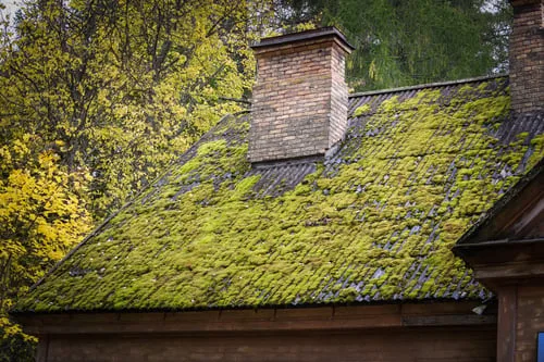 House Siding Washing